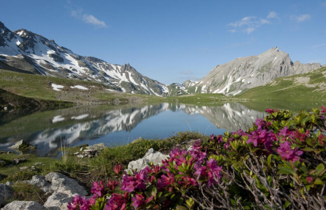 Les Contamines-Montjoie : le spot parfait pour vos aventures d'été L'été est synonyme de vacances et de grands voyages pour de nombreuses personnes. Mais vous n'avez pas besoin de partir à l'autre bout du monde pour prendre l'air et vous évader. Les Contamines-Montjoie, village authentique et dynamique des Hautes-Alpes en France, est une destination idéale pour profiter du soleil, du calme et des paysages naturels, le tout à proximité. Avec des reliefs variant entre 1164 et 2500 mètres d'altitude, le site offre une variété de paysages, de lacs et de forêts, offrant un panorama unique et un sentiment de liberté. De plus, il se trouve sur le mythique Tour du Mont Blanc, qui est très apprécié des randonneurs et des aventuriers. Enfin, les activités sont nombreuses (randonnée, escalade, VTT, ski, etc.) et accessibles à tous.