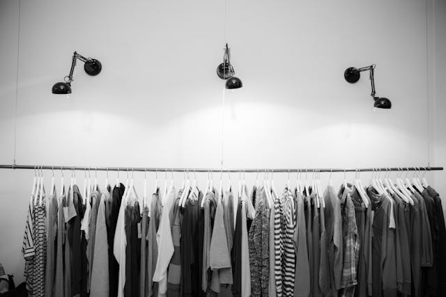 pexels bohlemedia 1884584